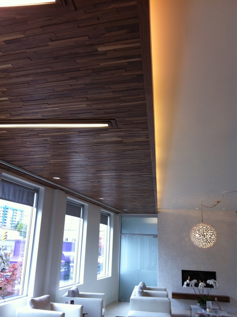 Project Skin MD Vancouver - Finium FriendlyWall Ceiling